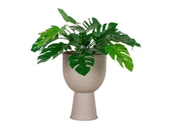 Amalfi Bloeiwijze O19Cm Zandkleurig.-House Nordic Best
