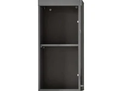 Amandamandobea Badkamerkast 1 Deur Grijs, Agave Grijs Hoogglans.-Trendteam Discount