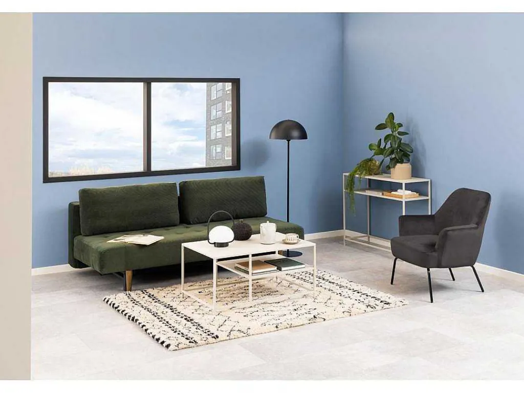 Blast Slaapbank Donkergroen, Rokerig.-Vente-unique Discount