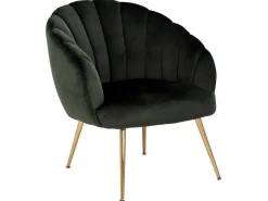 Dano Fauteuil Lounge Fauteuil Groen, Messing.-Vente-unique Discount