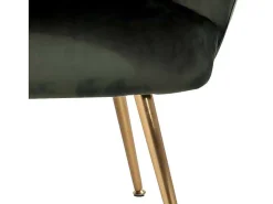 Dano Fauteuil Lounge Fauteuil Groen, Messing.-Vente-unique Discount