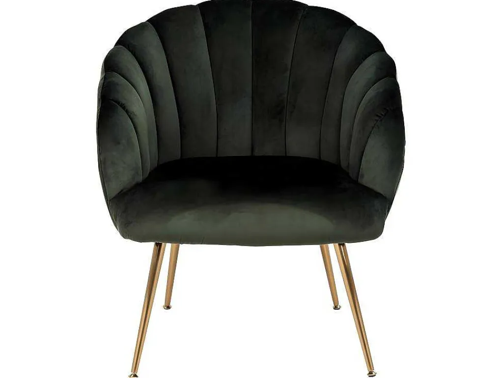 Dano Fauteuil Lounge Fauteuil Groen, Messing.-Vente-unique Discount