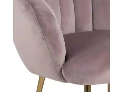Dany Fauteuil Loungestoel Oudroze, Messingkleurig.-Vente-unique