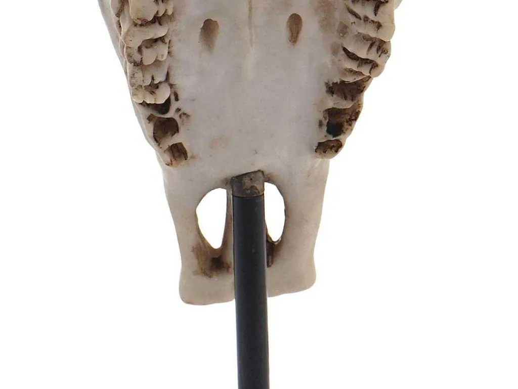Decoratief Staand Figuur Koeienschedel Mcw-D30-Vente-unique