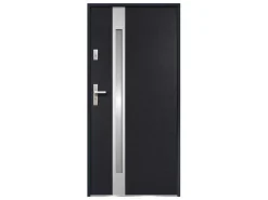 Deur Van Geglazuurd Staal En Inox H.207 X B.100 Cm Antraciet - Links Duwen - Braga-Vente-unique Discount