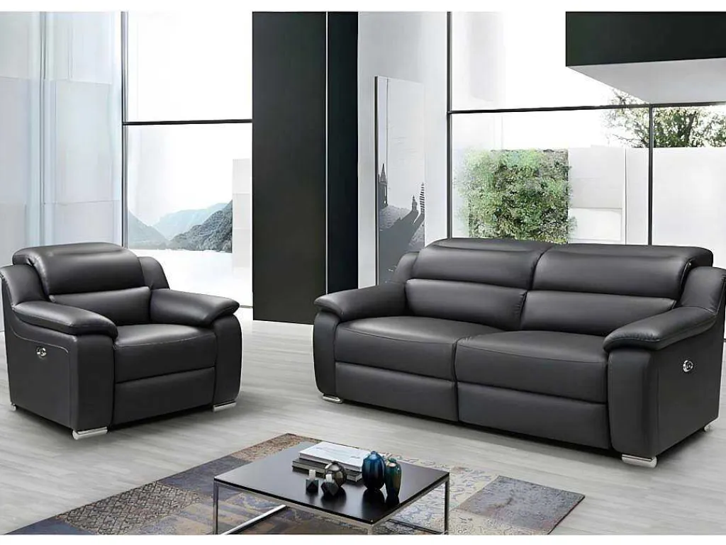 Driezits Relaxbank Van Leer Arena Ii - Zwart - Elektrisch-Vente-unique New
