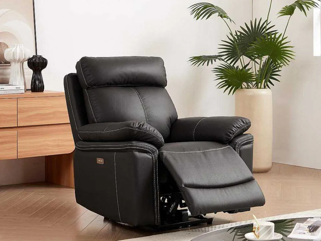 Elektrische Relaxstoel Van Leer Isiris - Bruin-Vente-unique Best