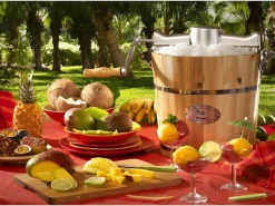 Elektrische Sorbetmaker Givreto Van Hout 3.5L-Vente-unique Best
