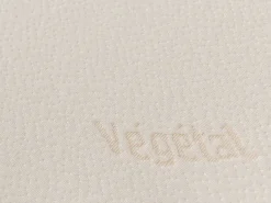Ergonomisch Hoofdkussen Met Vormgeheugen Vegetal 60 X 60 Cm-DODO Discount