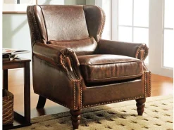 Fauteuil 100% Leer Edouard - Bruin-LINEA SOFA