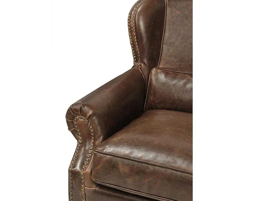 Fauteuil 100% Leer Edouard - Bruin-LINEA SOFA
