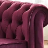 Fauteuil Chesterfield - Fluweel Paars-Vente-unique Sale