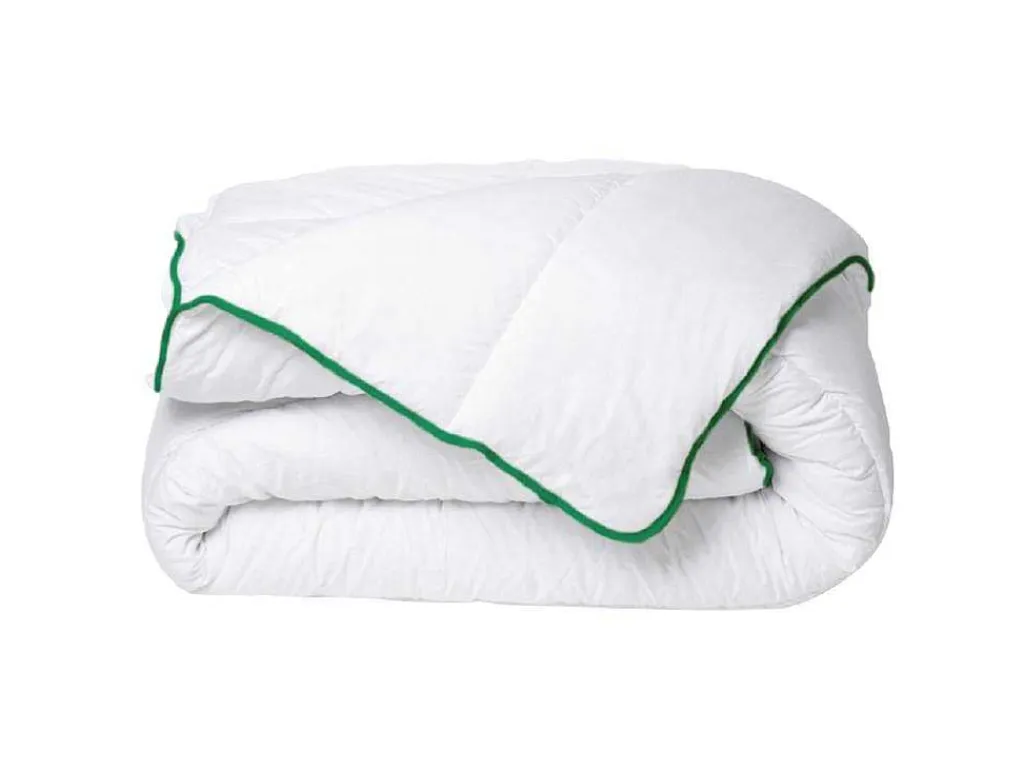 Gematigd Dekbed Met Natuurlijke Antimijtbehandeling Van Van Microvezel - 140 X 200 Cm - 300 G/M - Groene Bies - Azylia Ii-DREAMEA