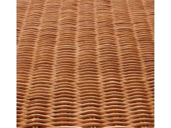 Genua Rotan Opbergkist, Honingkleurig-Vente-unique New