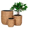 Hanoi Planten Schuilplaatsen Set Van 3 Stuks. Buitenshuis Naturel.-Vente-unique Best