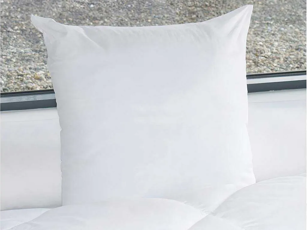 Hoofdkussen 60 X 60 Cm Van - 600 Gr - Marin-DREAMEA Hot