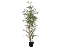 Kunstbamboe Met Natuurlijke Stam - H160 - Mucuri-OZAIA New