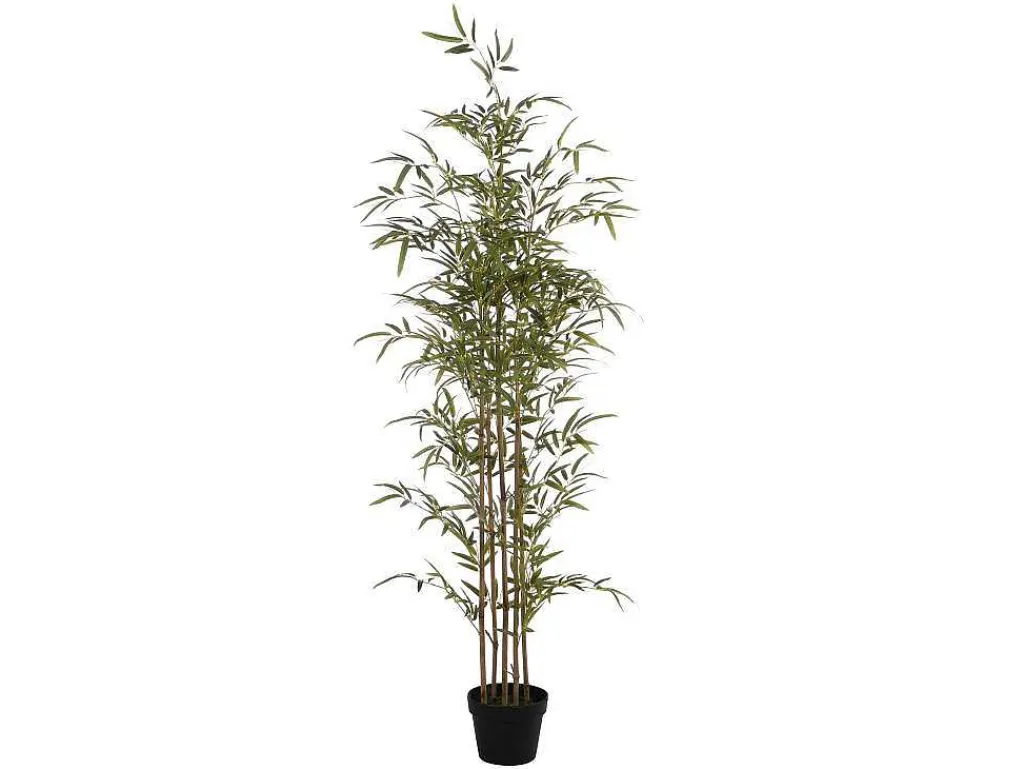 Kunstbamboe Met Natuurlijke Stam - H160 - Mucuri-OZAIA New