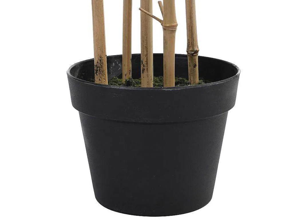 Kunstbamboe Met Natuurlijke Stam - H160 - Mucuri-OZAIA New