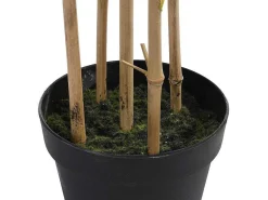 Kunstbamboe Met Natuurlijke Stam - H160 - Mucuri-OZAIA New