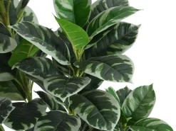 Kunstboom Calathea Met Pot - H150 - Lusake-OZAIA Clearance
