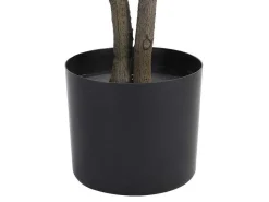 Kunstboom Calathea Met Pot - H150 - Lusake-OZAIA Clearance