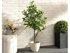 Kunstcitroenboom Met Pot - H120 - Berat-OZAIA Outlet