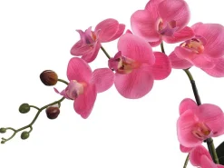 Kunstorchidee Met Pot Van Cement - H55 X B30 Cm - Roze - Riosane-OZAIA Hot