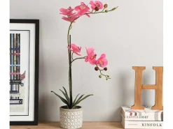 Kunstorchidee Met Pot Van Cement - H55 X B30 Cm - Roze - Riosane-OZAIA Hot