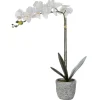 Kunstorchidee Met Pot Van Cement - H60 - Wit - Flora-OZAIA Online