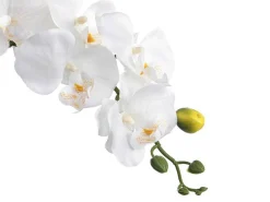 Kunstorchidee Met Pot Van Cement - H60 - Wit - Flora-OZAIA Online