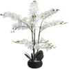 Kunstorchidee Met Pot Van Cement - H65 X B54 Cm - Wit - Tara-OZAIA Online