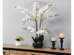 Kunstorchidee Met Pot Van Cement - H65 X B54 Cm - Wit - Tara-OZAIA Online