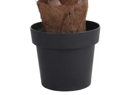 Kunstpalm Met Pot - H180 - Matera-OZAIA Hot
