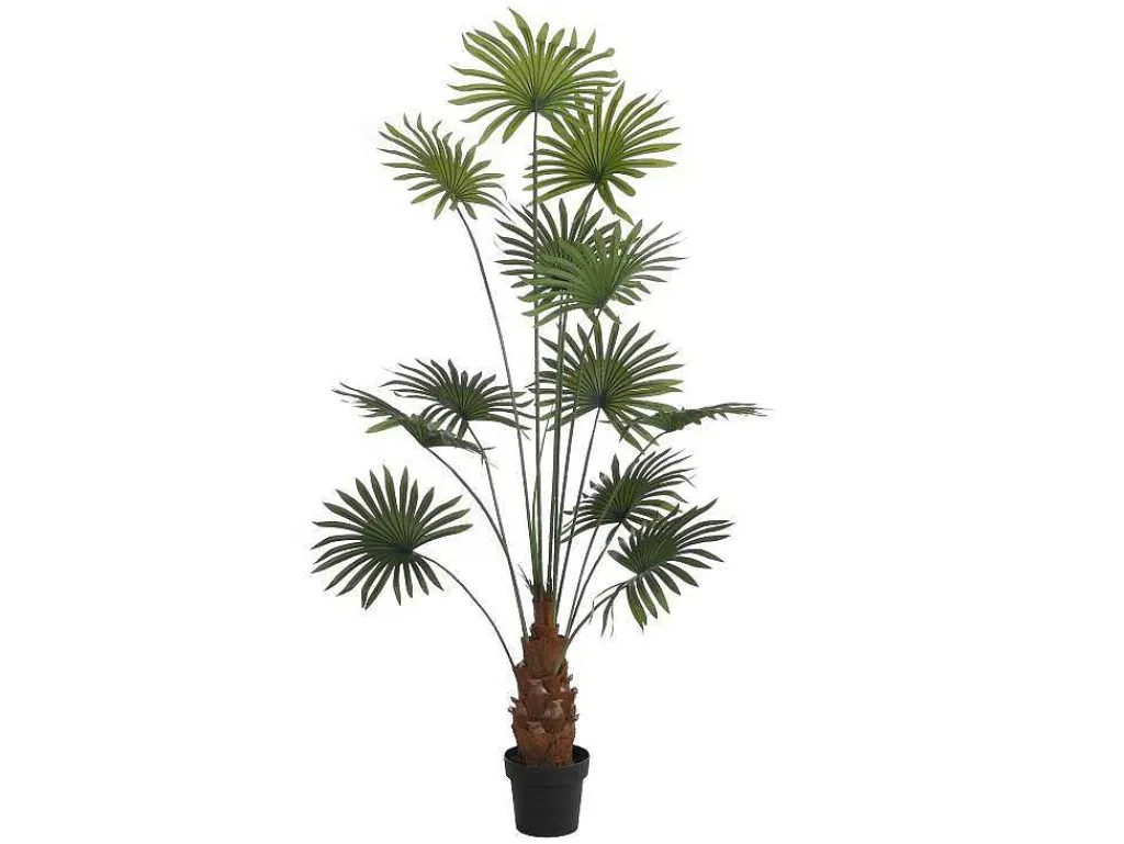 Kunstpalm Met Pot - H180 - Matera-OZAIA Hot