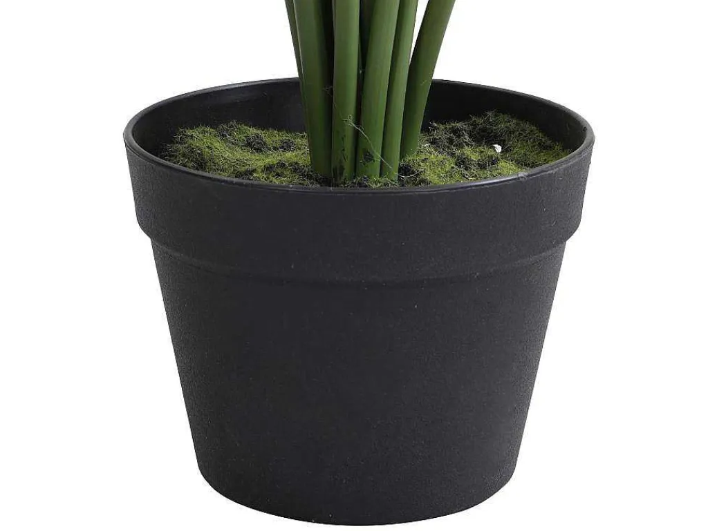 Kunstpalmboom Met Pot - H160 - Palmita-OZAIA Clearance