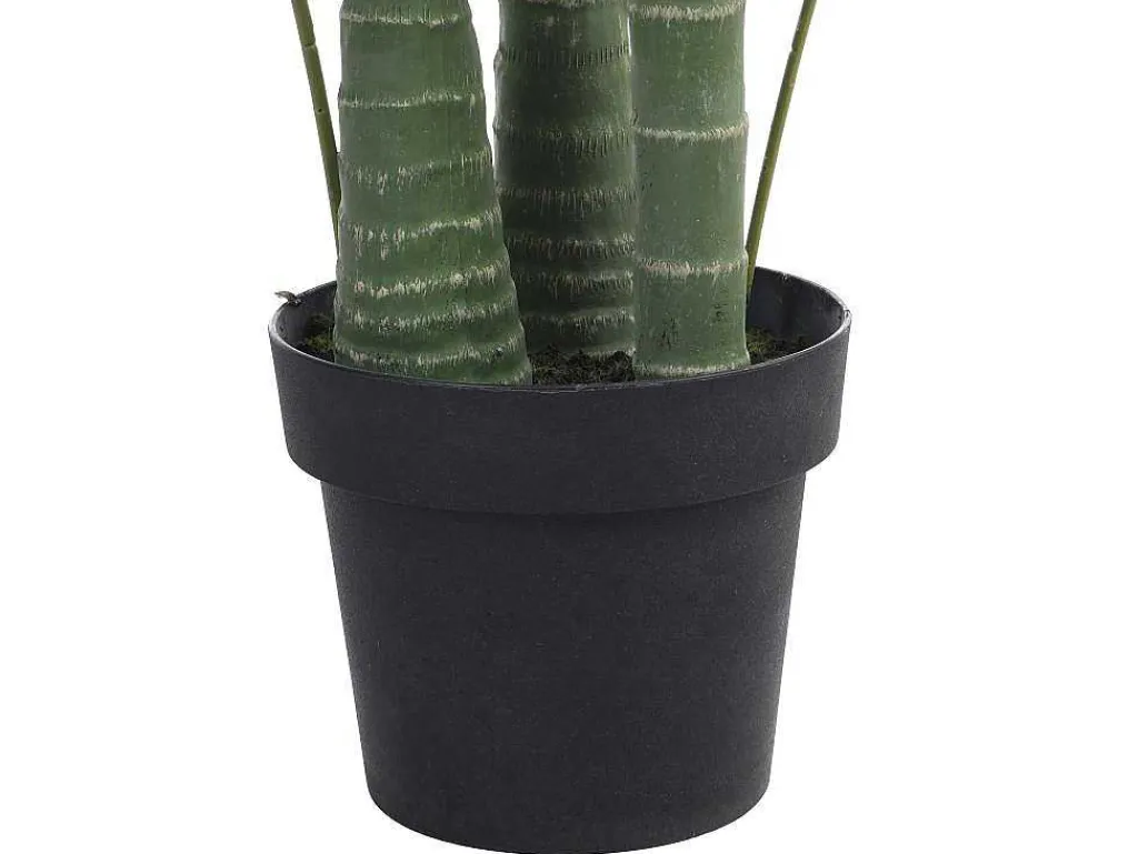 Kunstpalmboom Met Pot - H190 - Coconut-OZAIA
