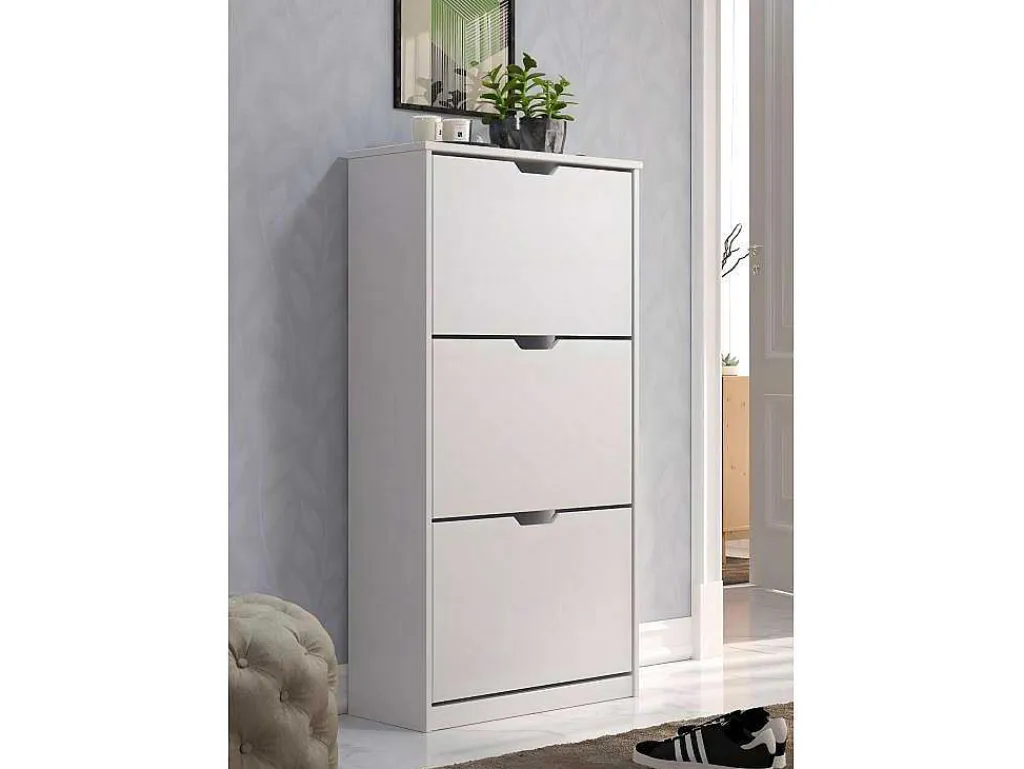Mestre Schoenenkast 3 Klep Wit.-Vente-unique