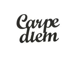 Metalen Decoratie Carpediem, Zwart, 50X1,5X38 Cm,-EPIKASA Best