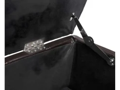 Opbergkist Kriens, Bruin-Vente-unique Clearance