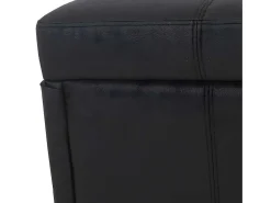 Opbergkist Kriens, Zwart Mat-Vente-unique Best