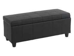 Opbergkist Kriens, Zwart Mat-Vente-unique Best