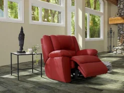 Relaxfauteuil Van Leer Aroma - Rood-Vente-unique Hot