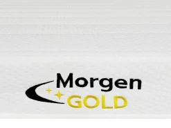 Schuimmatras 140X190Cm 7 Zones 25Kg/M3 Dikte 12Cm - Stelo Van-Morgengold Discount