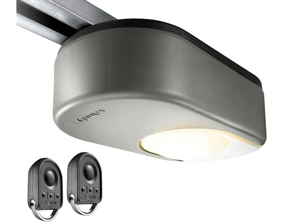 Sectionale Garagedeur Met Motor Met Centrale Antraciet Loopdeur - Caopas-Somfy Best