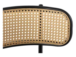 Set Van 2 Fluwelen En Rotan Stoelen - Metalen Poten - Zwart-ModernLuxe Clearance