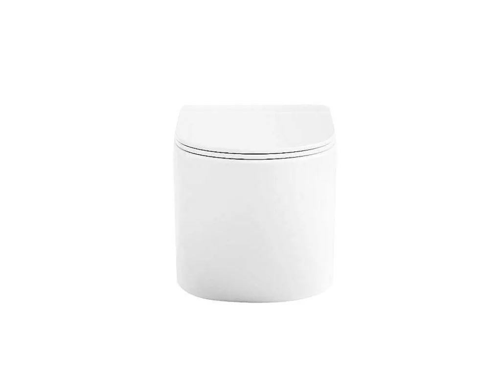 Set Voor Hang-Wc Met Decoratief Voorwandsysteem - Glanzend Wit - Javoine-Vente-unique Discount