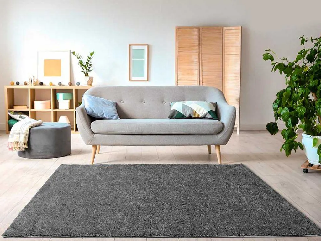 Shaggy Hoogpolig Tapijt - 160 X 230 Cm - Antraciet - Milinio-OZAIA Discount