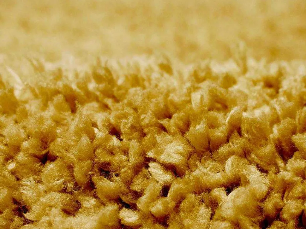 Shaggy Hoogpolig Tapijt - 200 X 300 Cm - Mosterdgeel - Milinio-OZAIA Best