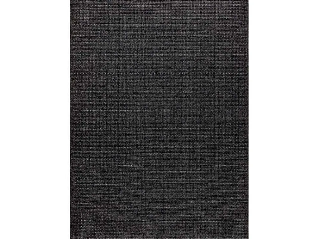 Sisal Tapijt Timo 0000 Buitenshuis Zwart 140X190 Cm-RugsX Online